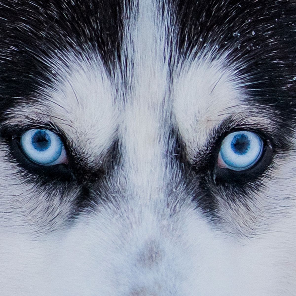 Nat7 8 Teaser 2000x2000