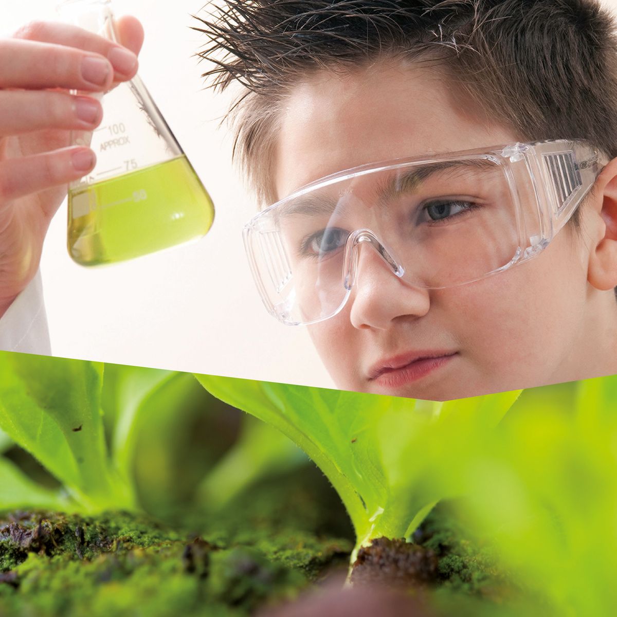 Prisma2 TB Teaser 2000x2000