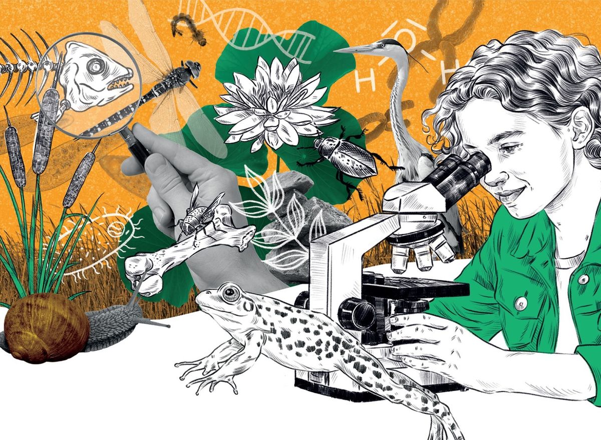 Prisma 1 cover 740 440px