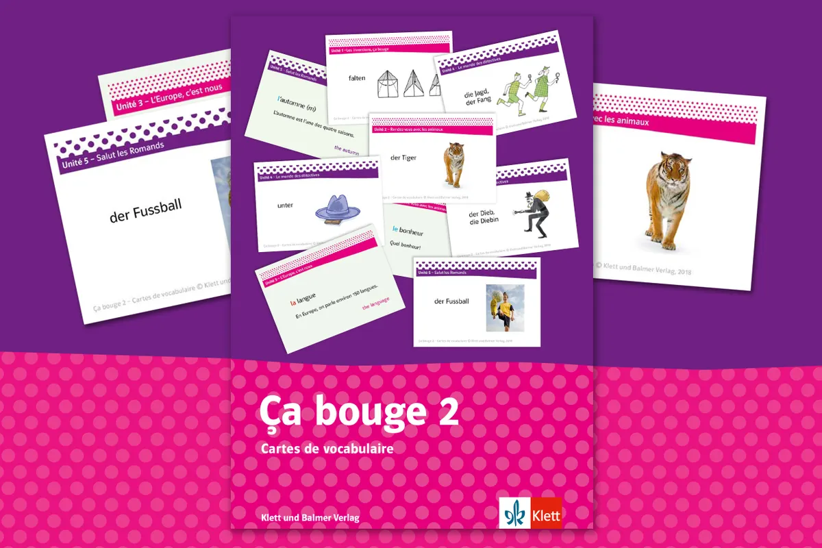 CB2 Cd V 2550x1700